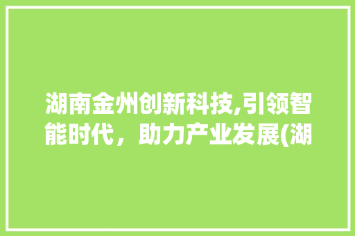 湖南金州创新科技,引领智能时代，助力产业发展(湖南金州创新科技)