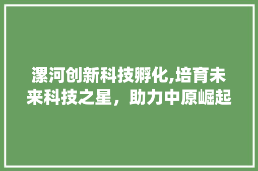 漯河创新科技孵化,培育未来科技之星，助力中原崛起(漯河创新科技孵化)