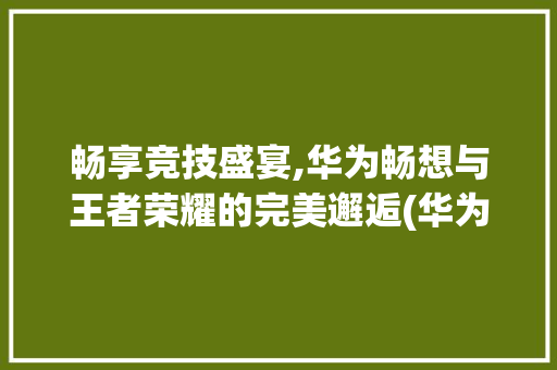 畅享竞技盛宴,华为畅想与王者荣耀的完美邂逅(华为畅想玩王者) 汽车常识