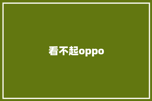 看不起oppo 汽车常识