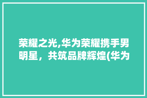 荣耀之光,华为荣耀携手男明星，共筑品牌辉煌(华为荣耀男明星) 手机电脑