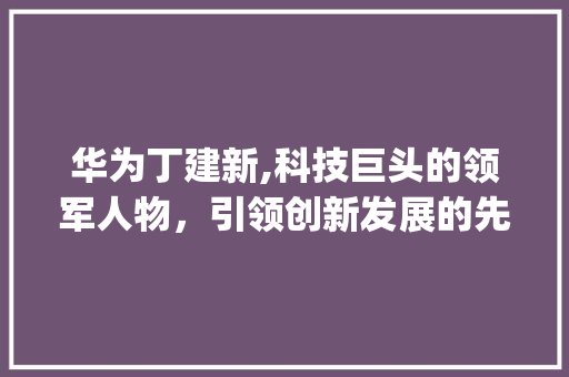 华为丁建新,科技巨头的领军人物，引领创新发展的先锋(华为丁建新照片) 美食菜谱