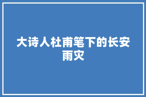 华为升级后卡顿问题介绍,探寻原因与解决之路(华为升级后卡顿) 旅游攻略