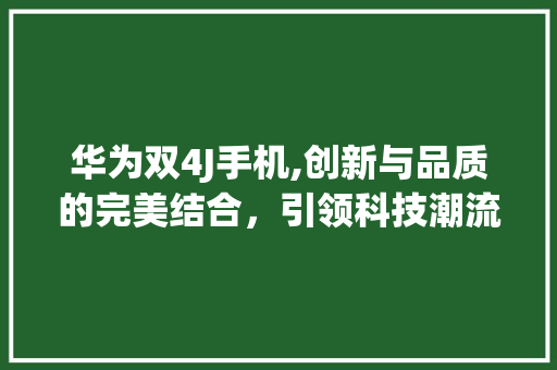 华为双4J手机,创新与品质的完美结合，引领科技潮流(华为双4j手机) 健康母婴