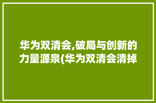 华为双清会,破局与创新的力量源泉(华为双清会清掉) 时尚穿搭