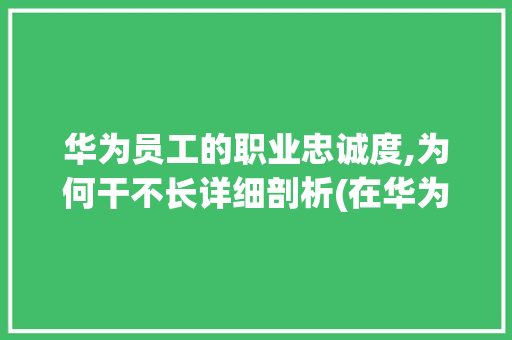 华为员工的职业忠诚度,为何干不长详细剖析(在华为干不长久) 时尚穿搭