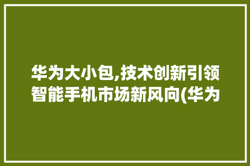 华为大小包,技术创新引领智能手机市场新风向(华为大小包先刷) 教育法律