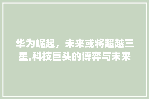 华为崛起，未来或将超越三星,科技巨头的博弈与未来展望(华为未来超三星) 手机电脑