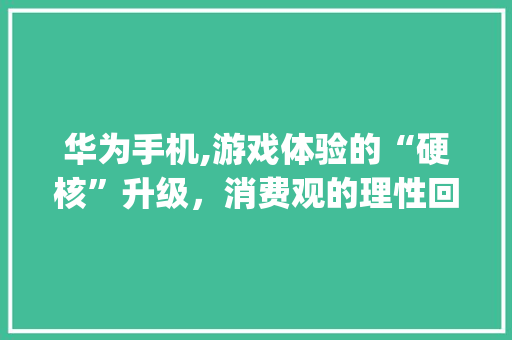 华为手机,游戏体验的“硬核”升级，消费观的理性回归(华为玩游戏要钱) 汽车常识