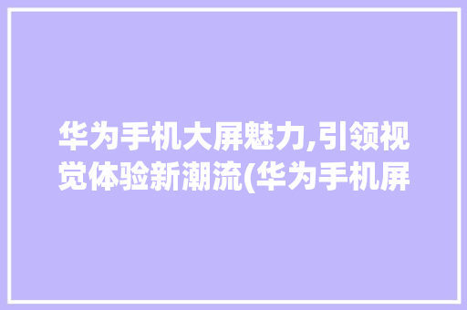 华为手机大屏魅力,引领视觉体验新潮流(华为手机屏大的)