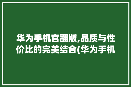 华为手机官翻版,品质与性价比的完美结合(华为手机官翻版)