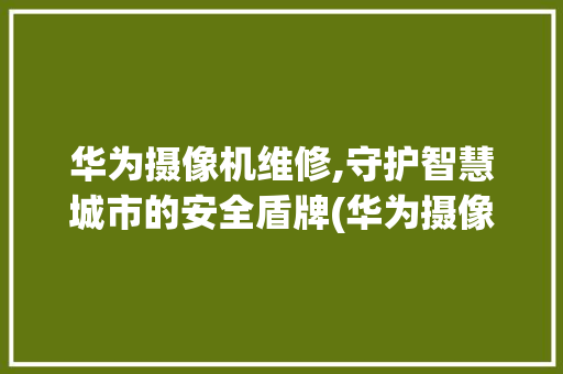 华为摄像机维修,守护智慧城市的安全盾牌(华为摄像机维修) 教育法律