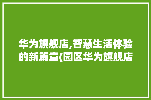 华为旗舰店,智慧生活体验的新篇章(园区华为旗舰店) 汽车常识