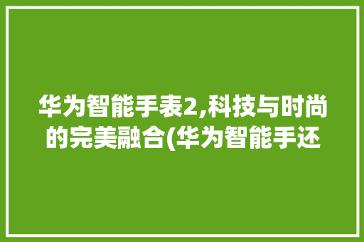 华为智能手表2,科技与时尚的完美融合(华为智能手还2) 健康母婴