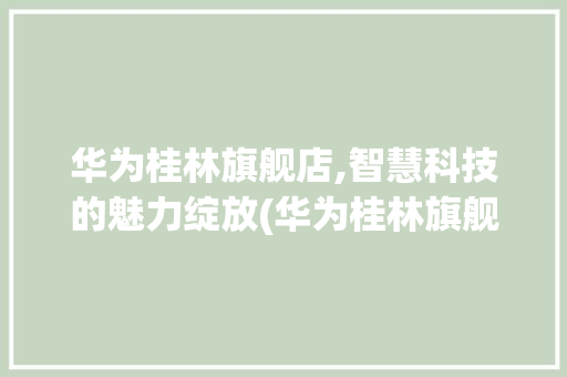 华为桂林旗舰店,智慧科技的魅力绽放(华为桂林旗舰店) 时尚穿搭