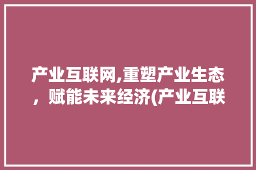 产业互联网,重塑产业生态，赋能未来经济(产业互联网是什么)