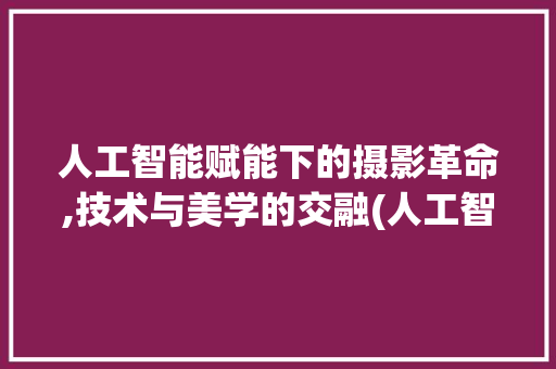 人工智能赋能下的摄影革命,技术与美学的交融(人工智能照片处理)