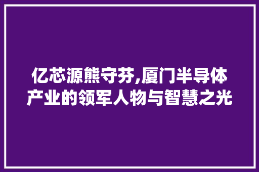 亿芯源熊守芬,厦门半导体产业的领军人物与智慧之光(厦门亿芯源熊守芬)