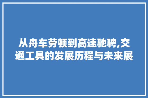 从舟车劳顿到高速驰骋,交通工具的发展历程与未来展望(交通工具发展顺序)
