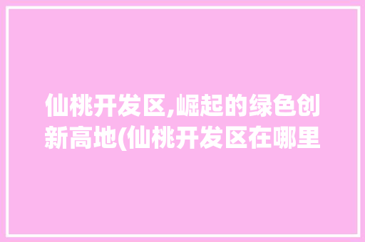 仙桃开发区,崛起的绿色创新高地(仙桃开发区在哪里)