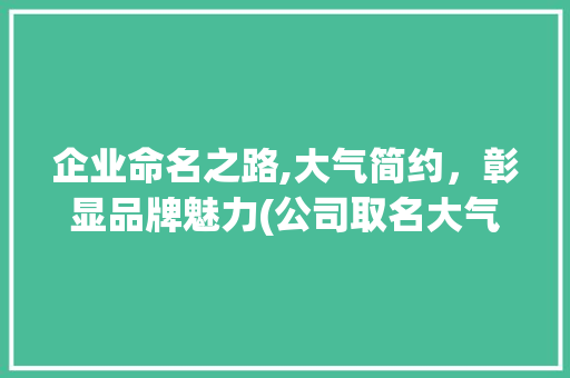 企业命名之路,大气简约，彰显品牌魅力(公司取名大气简单)