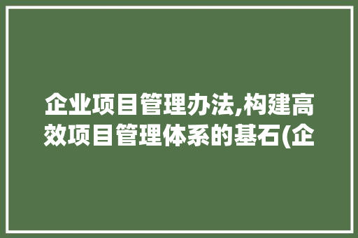 企业项目管理办法,构建高效项目管理体系的基石(企业项目管理办法)