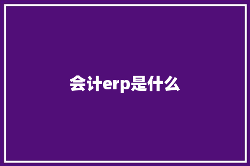 会计erp是什么
