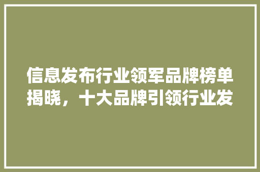 信息发布行业领军品牌榜单揭晓，十大品牌引领行业发展新篇章(信息发布十大品牌)