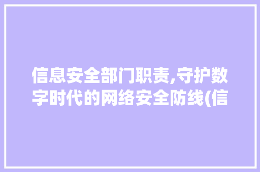信息安全部门职责,守护数字时代的网络安全防线(信息安全部门职责)