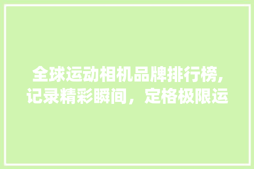 全球运动相机品牌排行榜,记录精彩瞬间，定格极限运动(运动相机品牌排行) 健康母婴