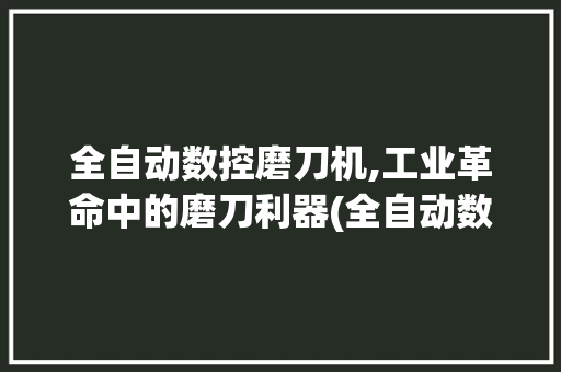 全自动数控磨刀机,工业革命中的磨刀利器(全自动数控磨刀机) 旅游攻略