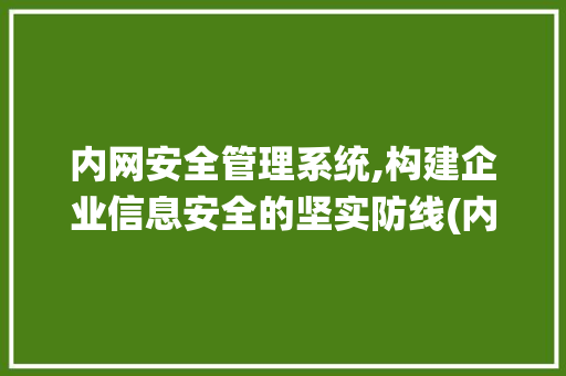 内网安全管理系统,构建企业信息安全的坚实防线(内网安全管理系统) 手机电脑