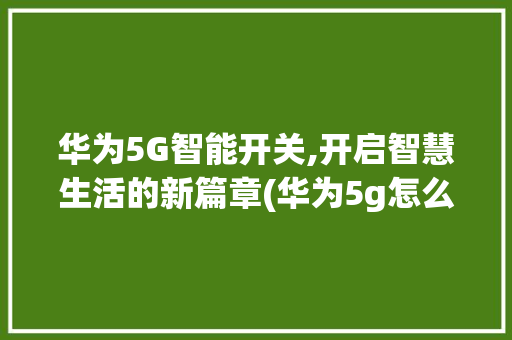 华为5G智能开关,开启智慧生活的新篇章(华为5g怎么开关)