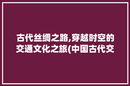 古代丝绸之路,穿越时空的交通文化之旅(中国古代交通文化) 手机电脑