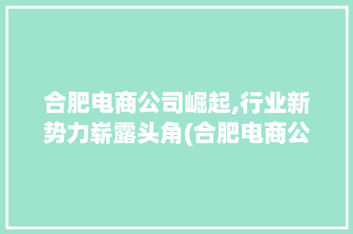 合肥电商公司崛起,行业新势力崭露头角(合肥电商公司排名) 汽车常识