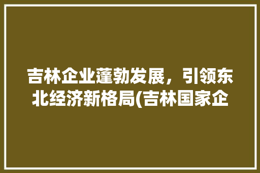 吉林企业蓬勃发展，引领东北经济新格局(吉林国家企业信息) 旅游攻略