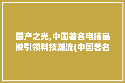 国产之光,中国著名电脑品牌引领科技潮流(中国著名电脑品牌) 手机电脑