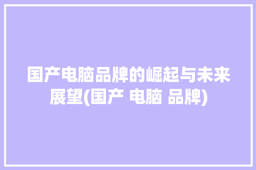 国产电脑品牌的崛起与未来展望(国产 电脑 品牌) 旅游攻略