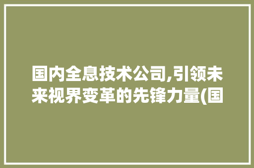 国内全息技术公司,引领未来视界变革的先锋力量(国内全息技术公司) 手机电脑