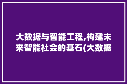 大数据与智能工程,构建未来智能社会的基石(大数据与智能工程) 教育法律