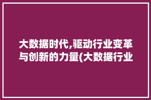大数据时代,驱动行业变革与创新的力量(大数据行业的分析) 时尚穿搭