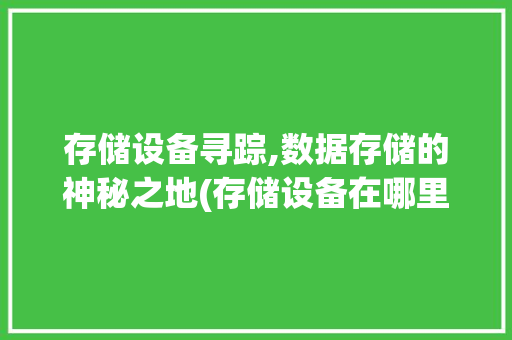 存储设备寻踪,数据存储的神秘之地(存储设备在哪里找) 教育法律