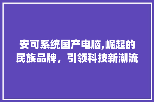 安可系统国产电脑,崛起的民族品牌，引领科技新潮流(安可系统国产电脑) 教育法律
