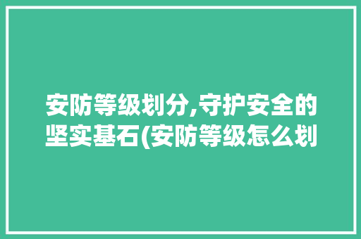 安防等级划分,守护安全的坚实基石(安防等级怎么划分) 健康母婴