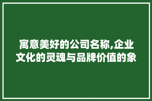 寓意美好的公司名称,企业文化的灵魂与品牌价值的象征(寓意好的公司名称) 手机电脑