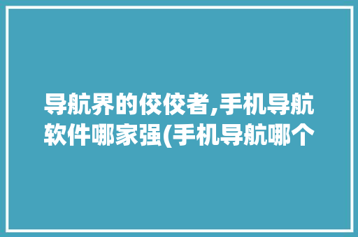导航界的佼佼者,手机导航软件哪家强(手机导航哪个最好) 教育法律