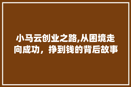 小马云创业之路,从困境走向成功，挣到钱的背后故事(小马云挣到钱了吗) 旅游攻略