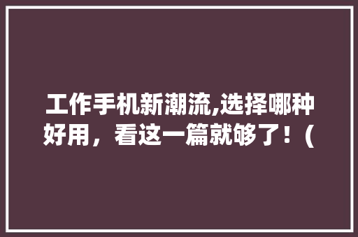 工作手机新潮流,选择哪种好用，看这一篇就够了！(工作手机哪种好用) 汽车常识