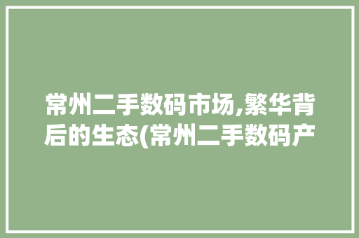 常州二手数码市场,繁华背后的生态(常州二手数码产品) 手机电脑