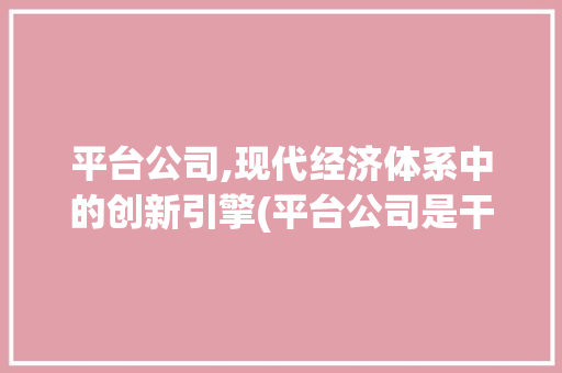 平台公司,现代经济体系中的创新引擎(平台公司是干嘛的) 美食菜谱